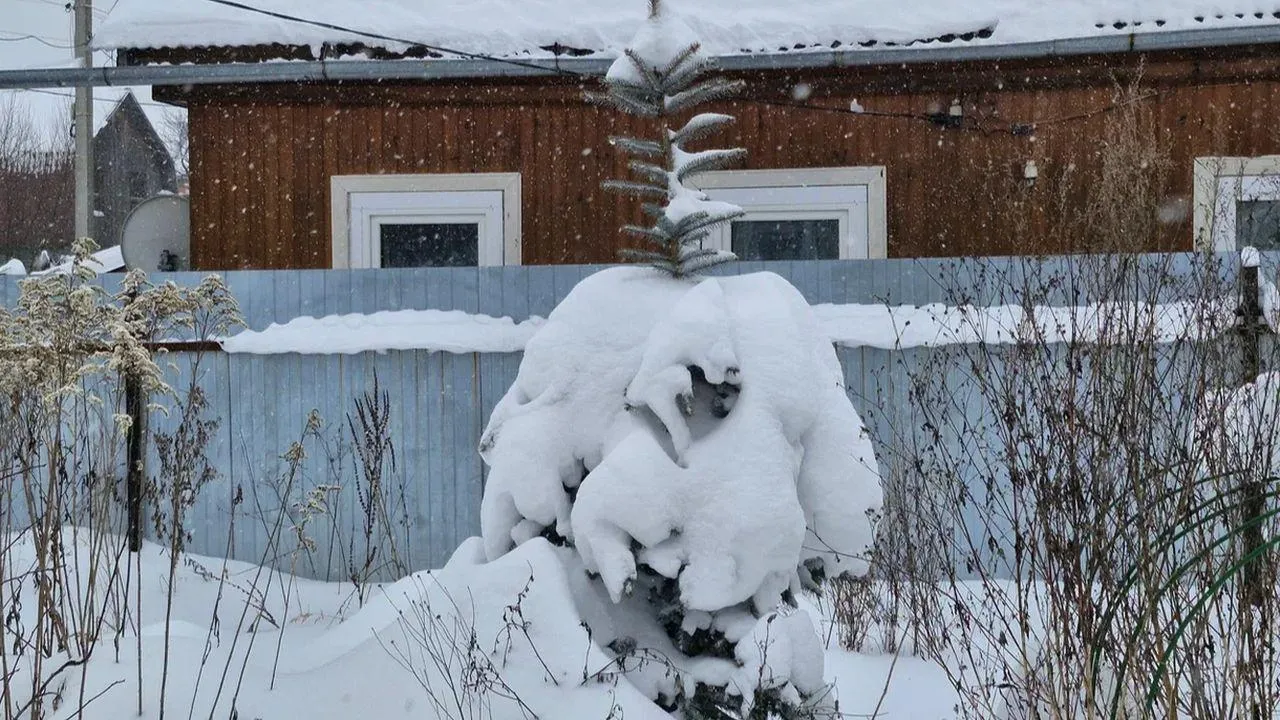 Картинка