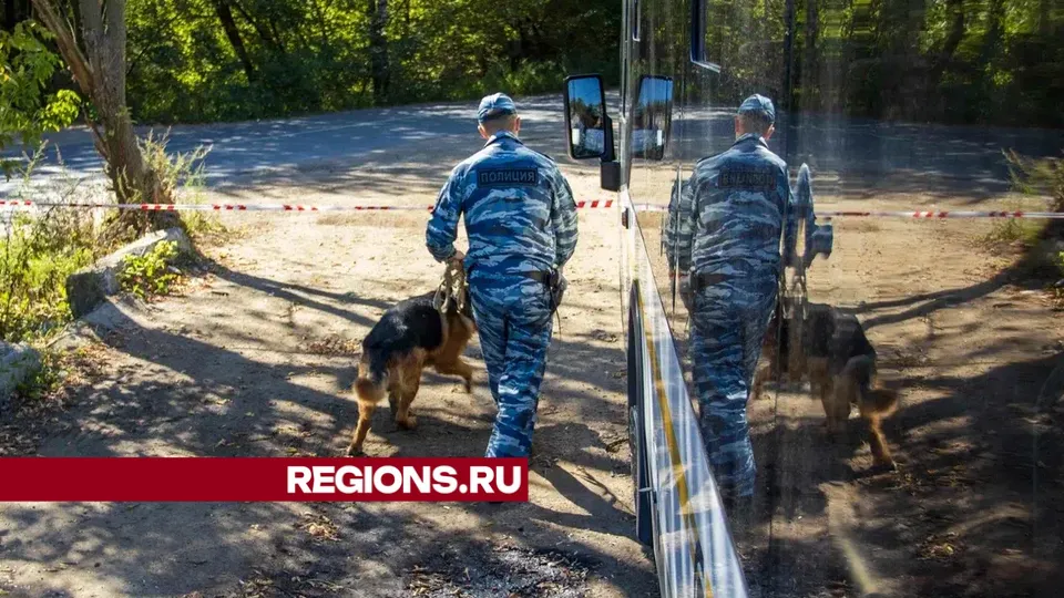 Фото: Алексей Грызлов