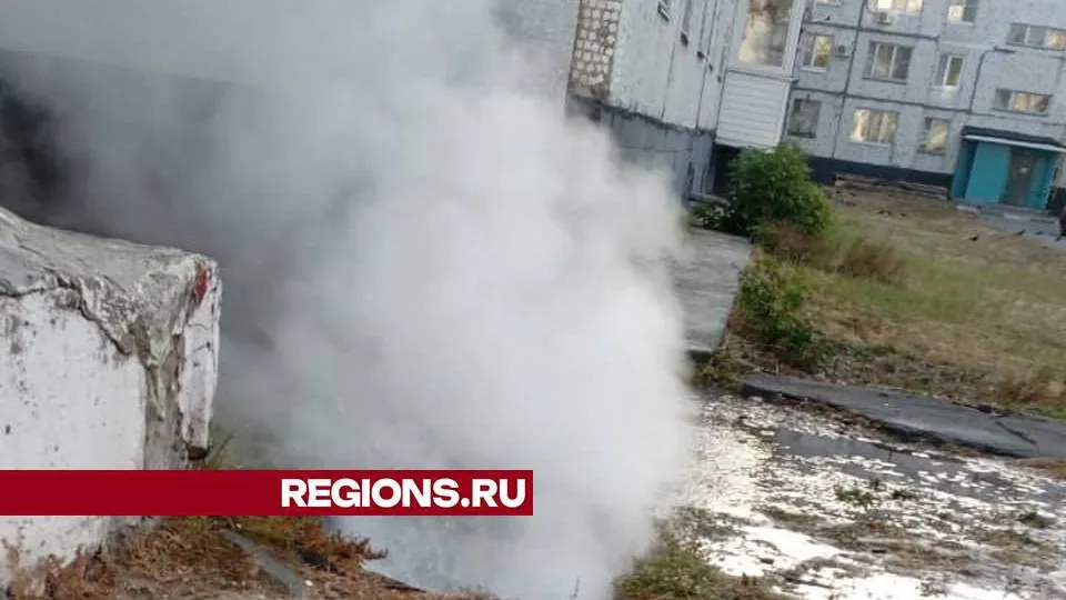 Фото: REGIONS/Виктория Гордеева