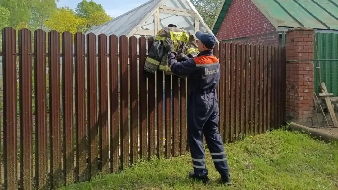 В округе Ступино спасатели ГКУ МО «Мособлпожспас» освободили кошку, застрявшую в металлическом заборе