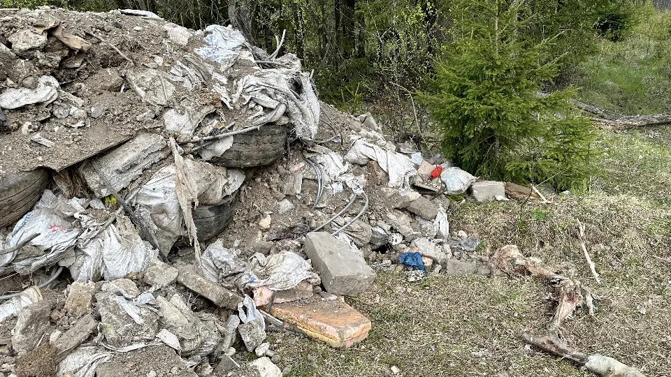 Фото: МедиаБанк Подмосковья/Данила Кирьянов