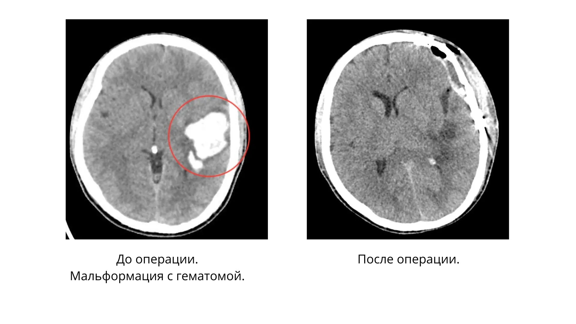Фото: Пресс-служба МОНИКИ имени М. Владимирского