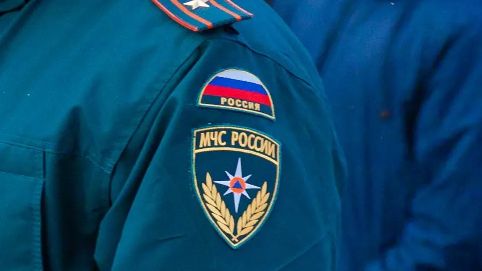 Фото: пресс-служба администрации г. о. Кашира