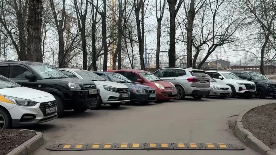 Фото: МедиаБанк Подмосковья/Ксения Казакова