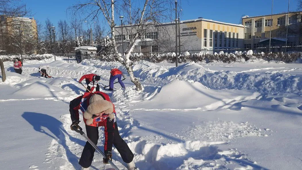 Картинка