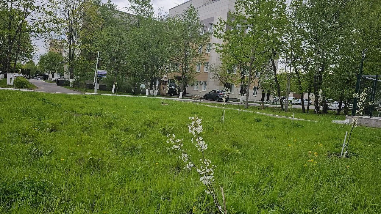 Фото: ГБУЗ МО «Видновский перинатальный центр»