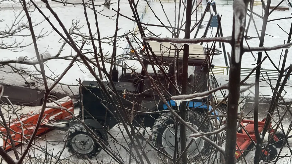 Фото: МедиаБанк Подмосковья/Татьяна Рунова