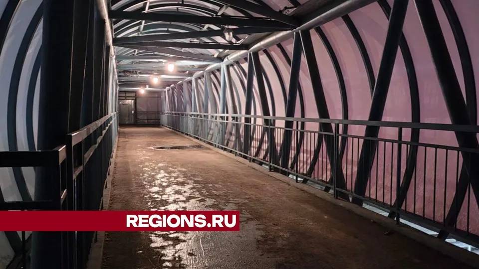 Фото предоставлено жительницей Жуковского