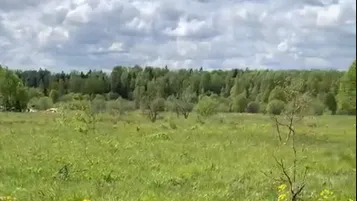 Фото: Единый портал торгов Московской области ЕАСУЗ