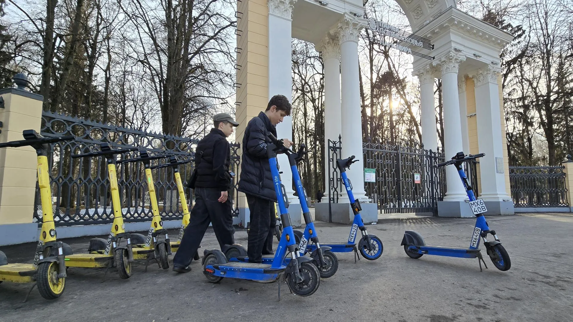 Картинка