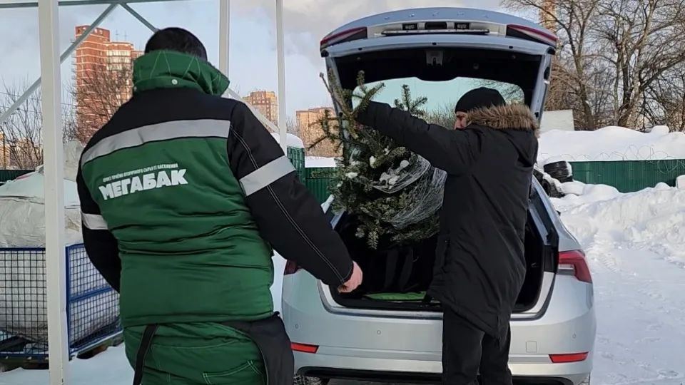 Фото: МедиаБанк Подмосковья/Валерия Ерофеева