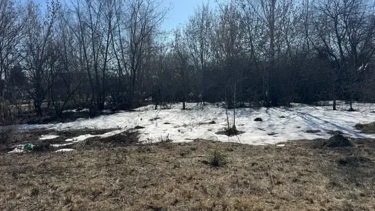 Участок с торгов в Богородском округе