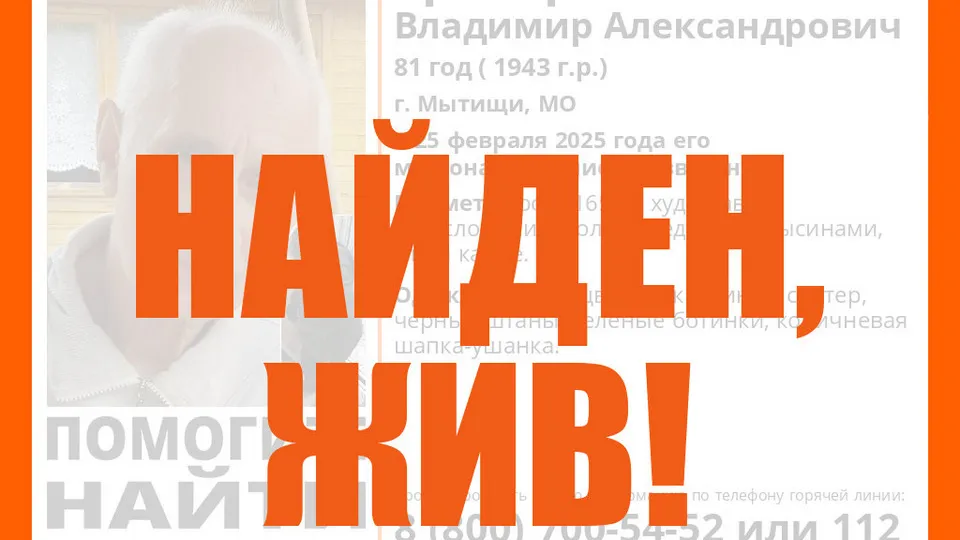 &nbsp; Фото: Добровольческий поисково-спасательный отряд «Лиза Алерт»