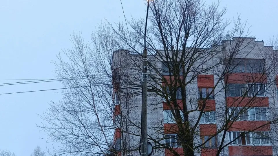 Фото: администрация городского округа Лотошино
