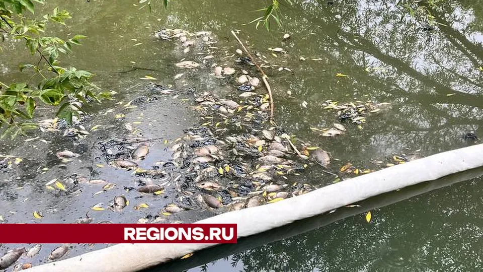 Фото: Егор Кравец