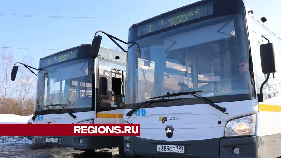 Фото: REGIONS/Василий Тремасов