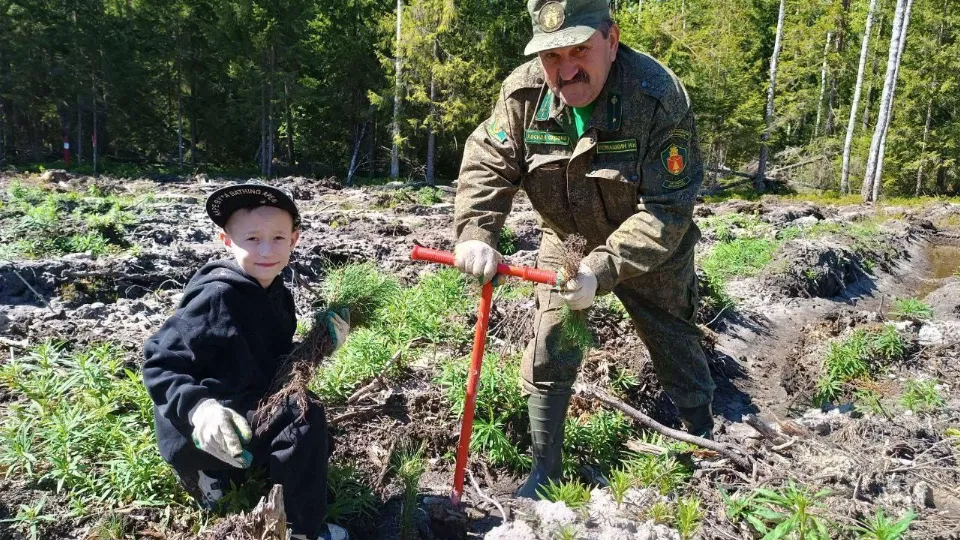 Фото: Комитет лесного хозяйства Московской области