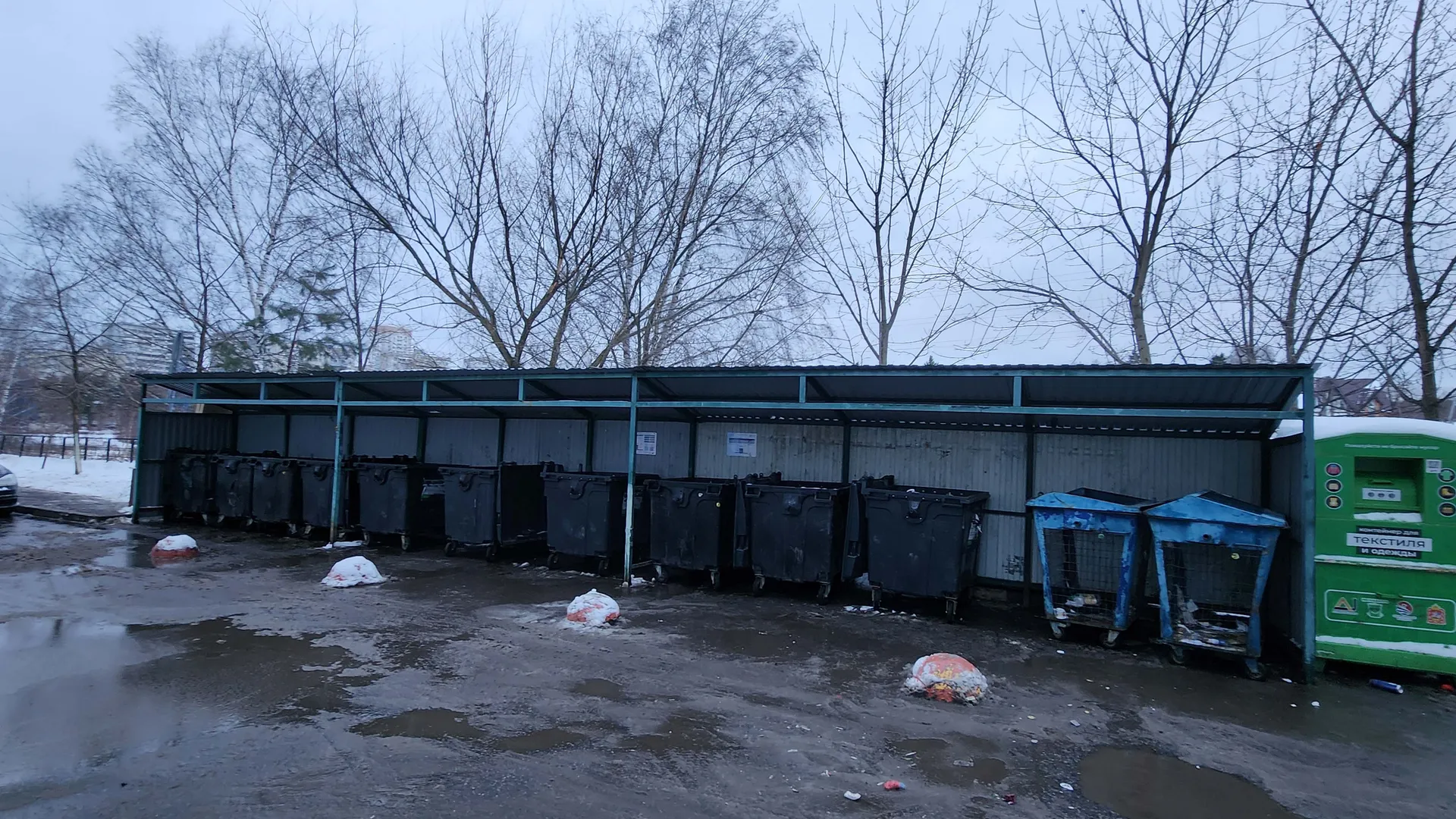 Фото: МедиаБанк Подмосковья\Никита Сморкалов&nbsp;