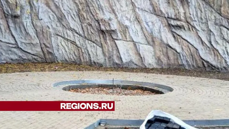Фото: Министерство благоустройства МО