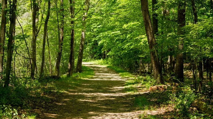 Фото: freepik.com
