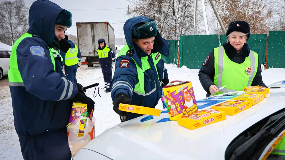 Фото: МедиаБанк Подмосковья/Данила Кирьянов