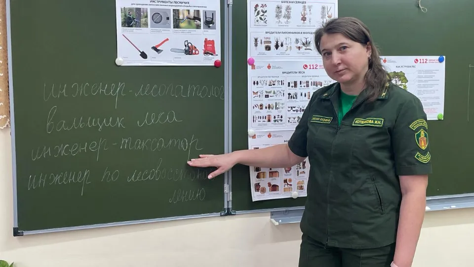 Фото: Комитет лесного хозяйства Московской области&nbsp;