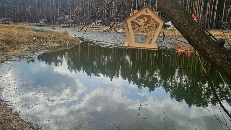 Фото: t.me/drozhzhinobutovopark2 Надежда Россейчук
