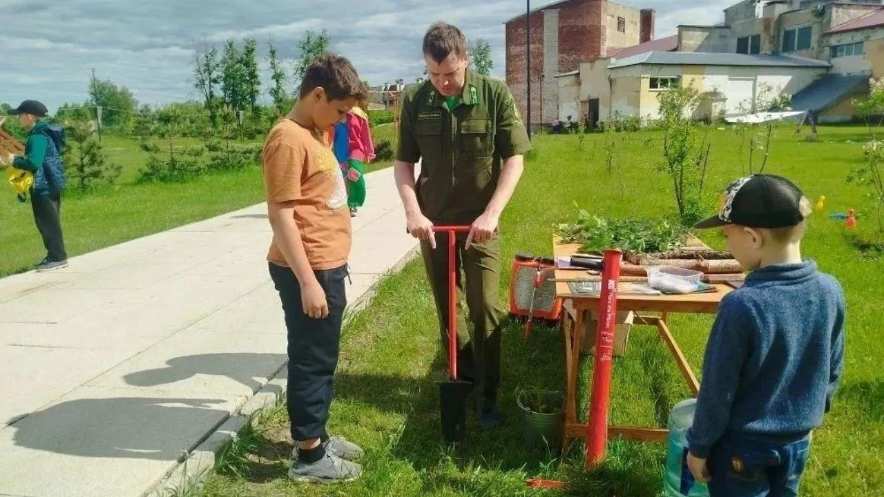Картинка