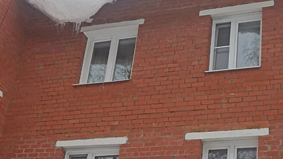 Фото: соцсети. ДО