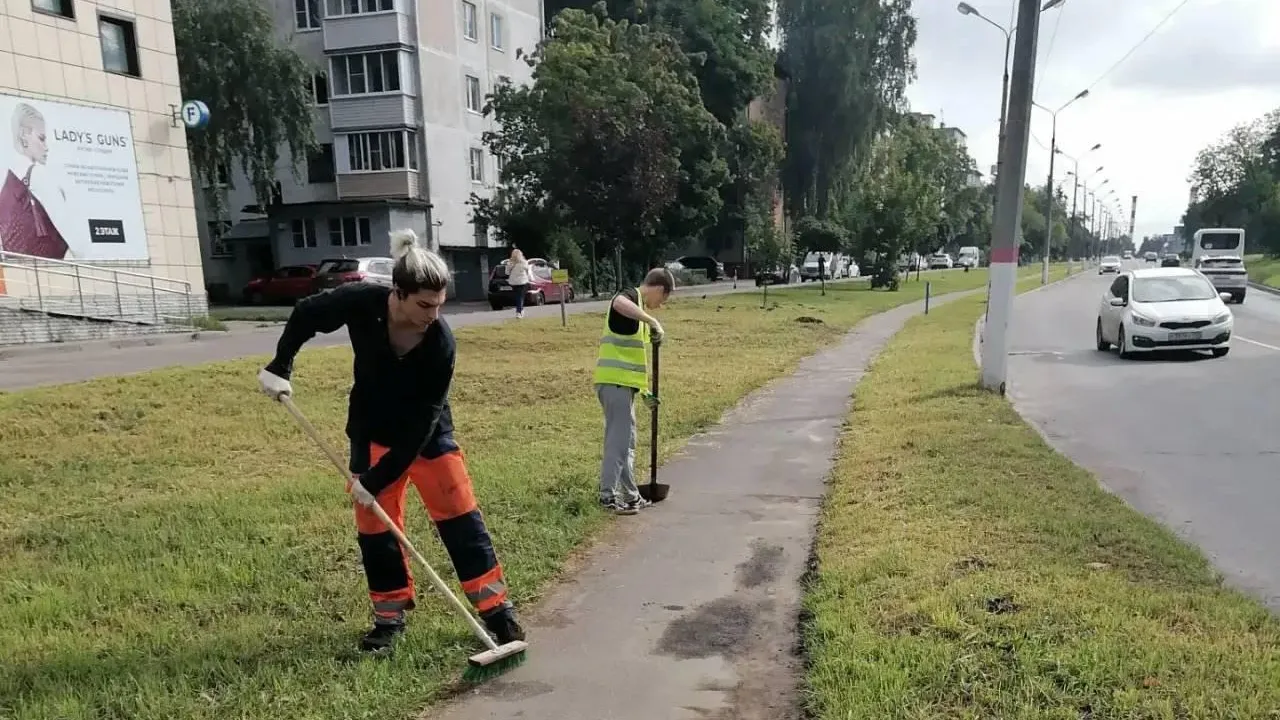 Картинка