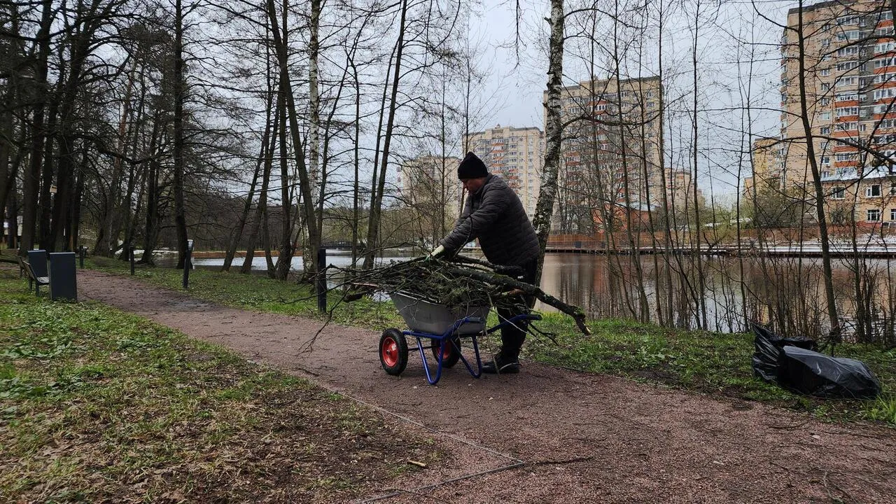 Картинка