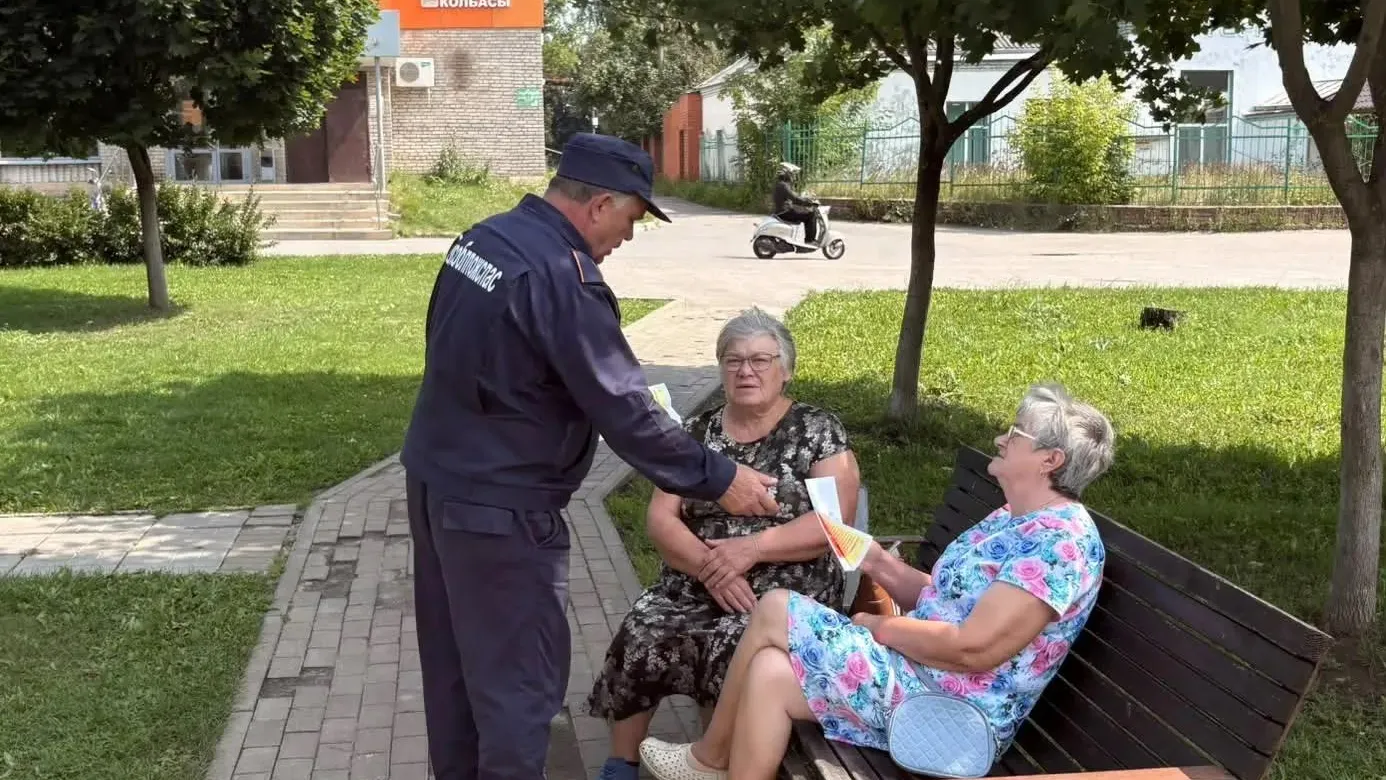 Картинка