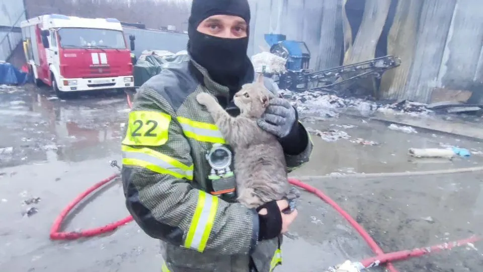 Фото: пресс-служба ГКУ МО «Мособлпожспас»