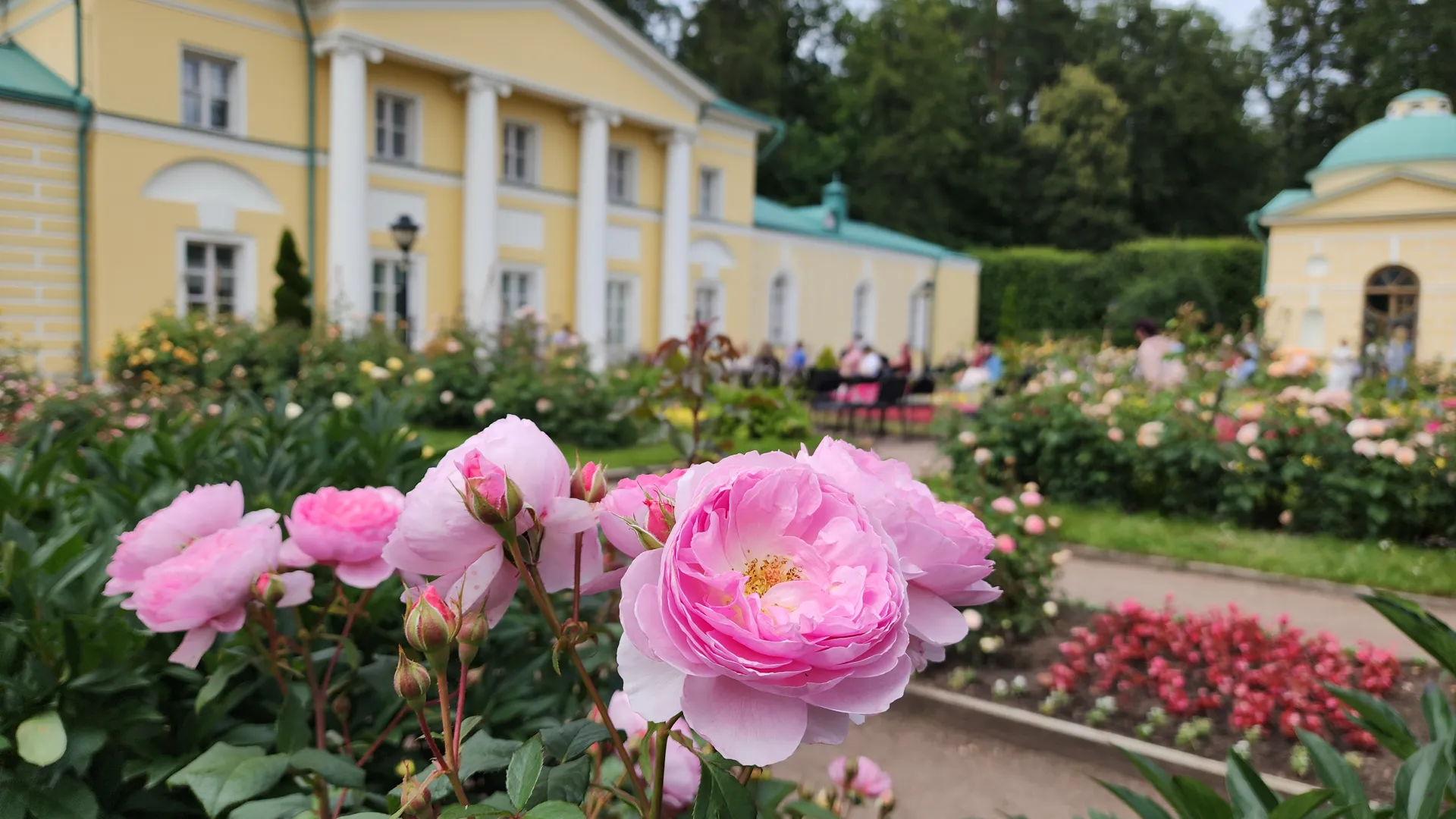 Картинка
