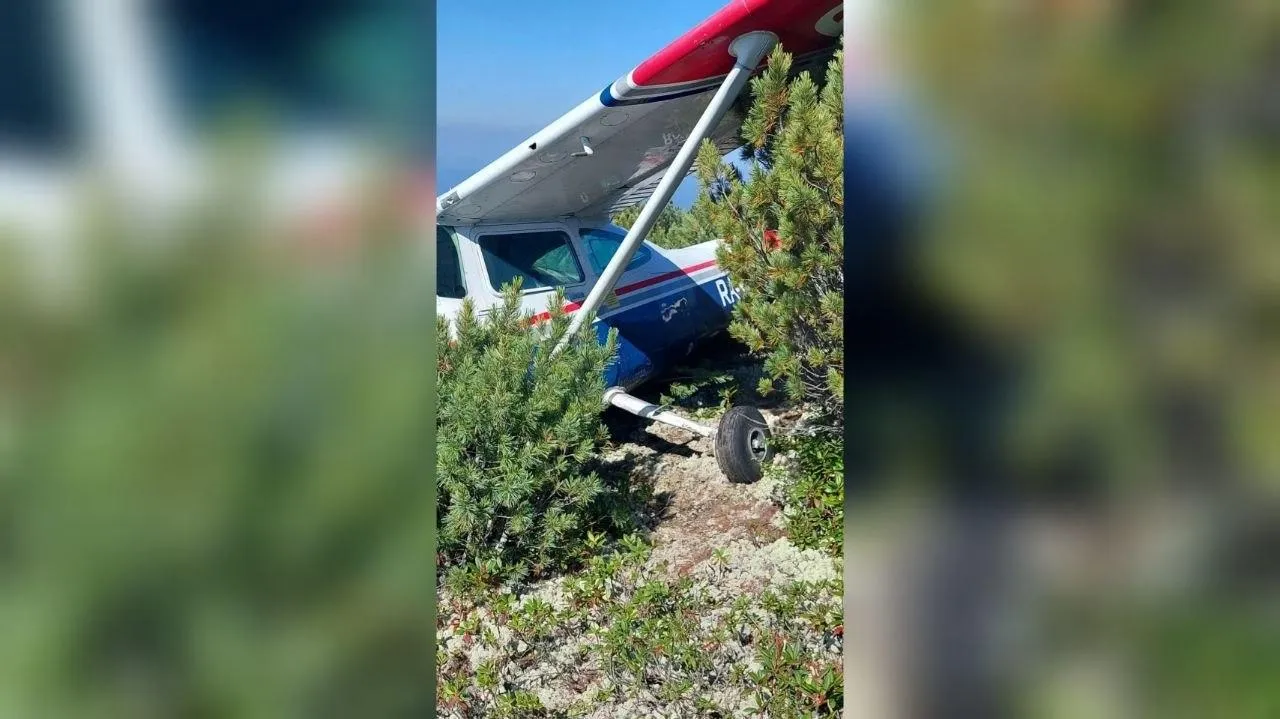 #кобзевнасвязи