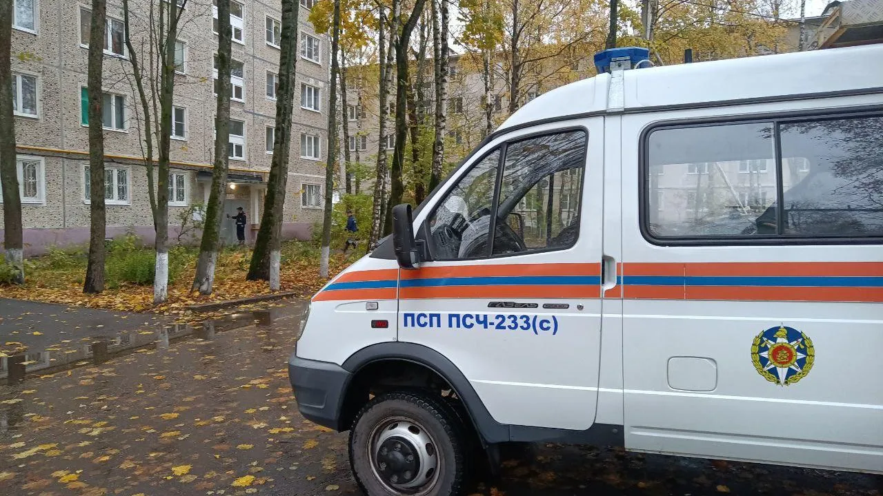 Фото: ГКУ МО «Мособлпожспас»