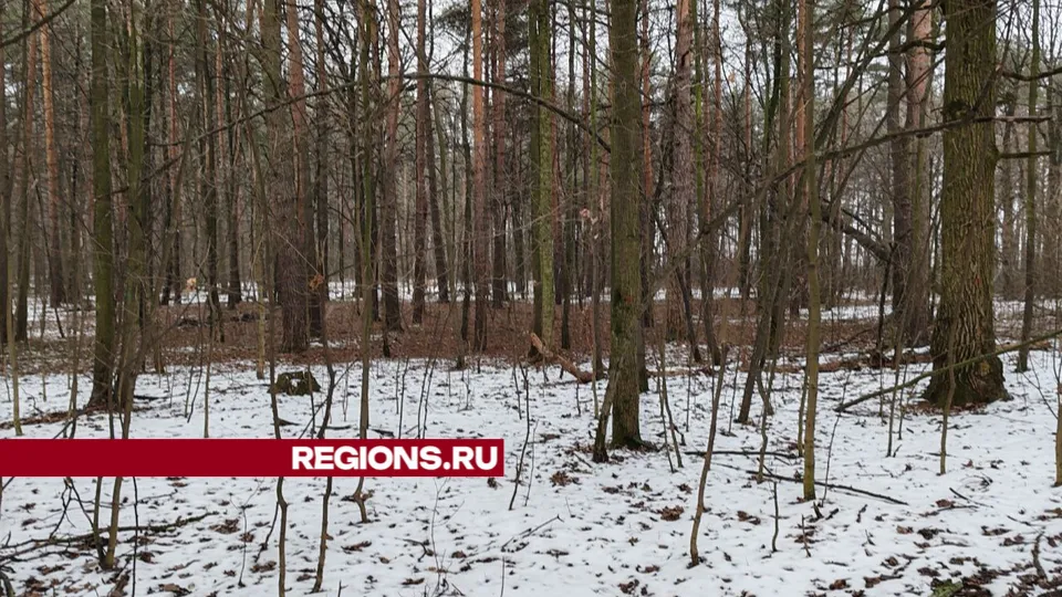 Фото: REGIONS/Юлия Павлова