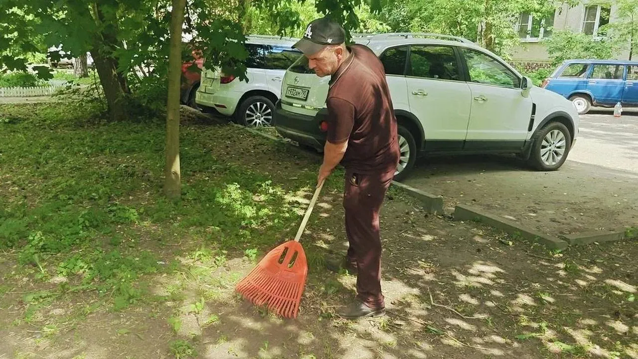 Картинка