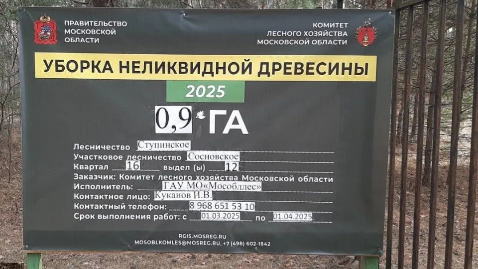 Фото: Комитет лесного хозяйства Московской области