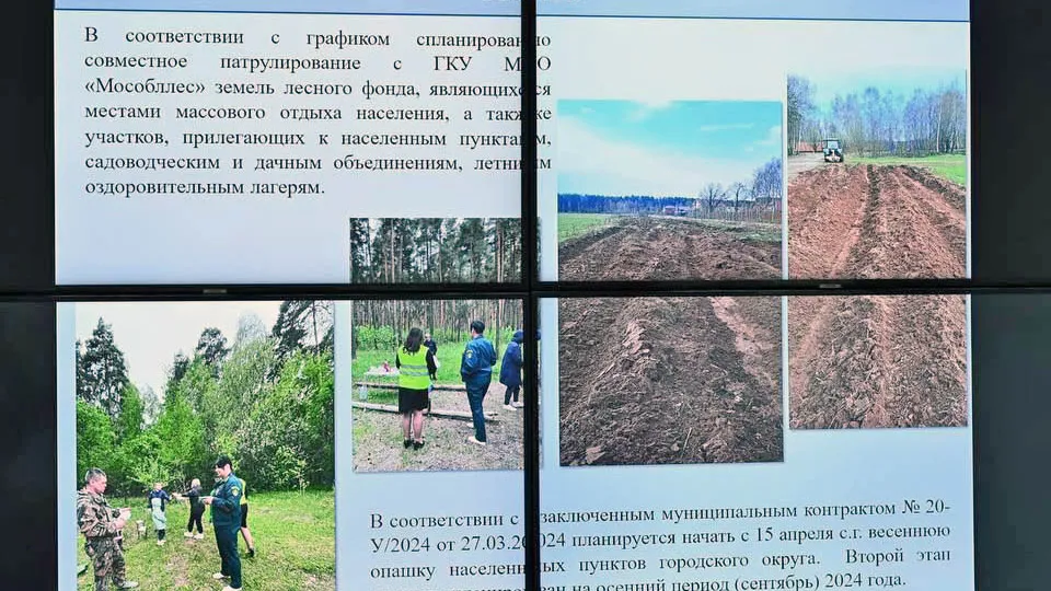 Фото: пресс-служба Администрации г.о. Лосино-Петровский