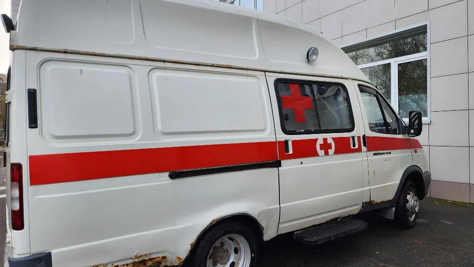 Фото: REGIONS/Ольга Аввакумова