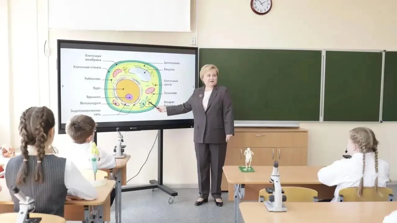 Картинка
