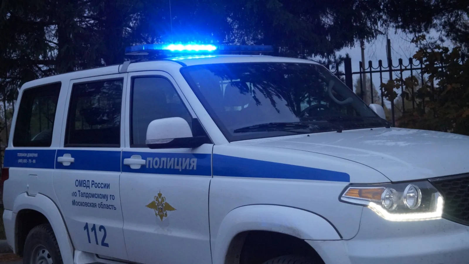 Фото: пресс-служба ОМВД России по Московской области