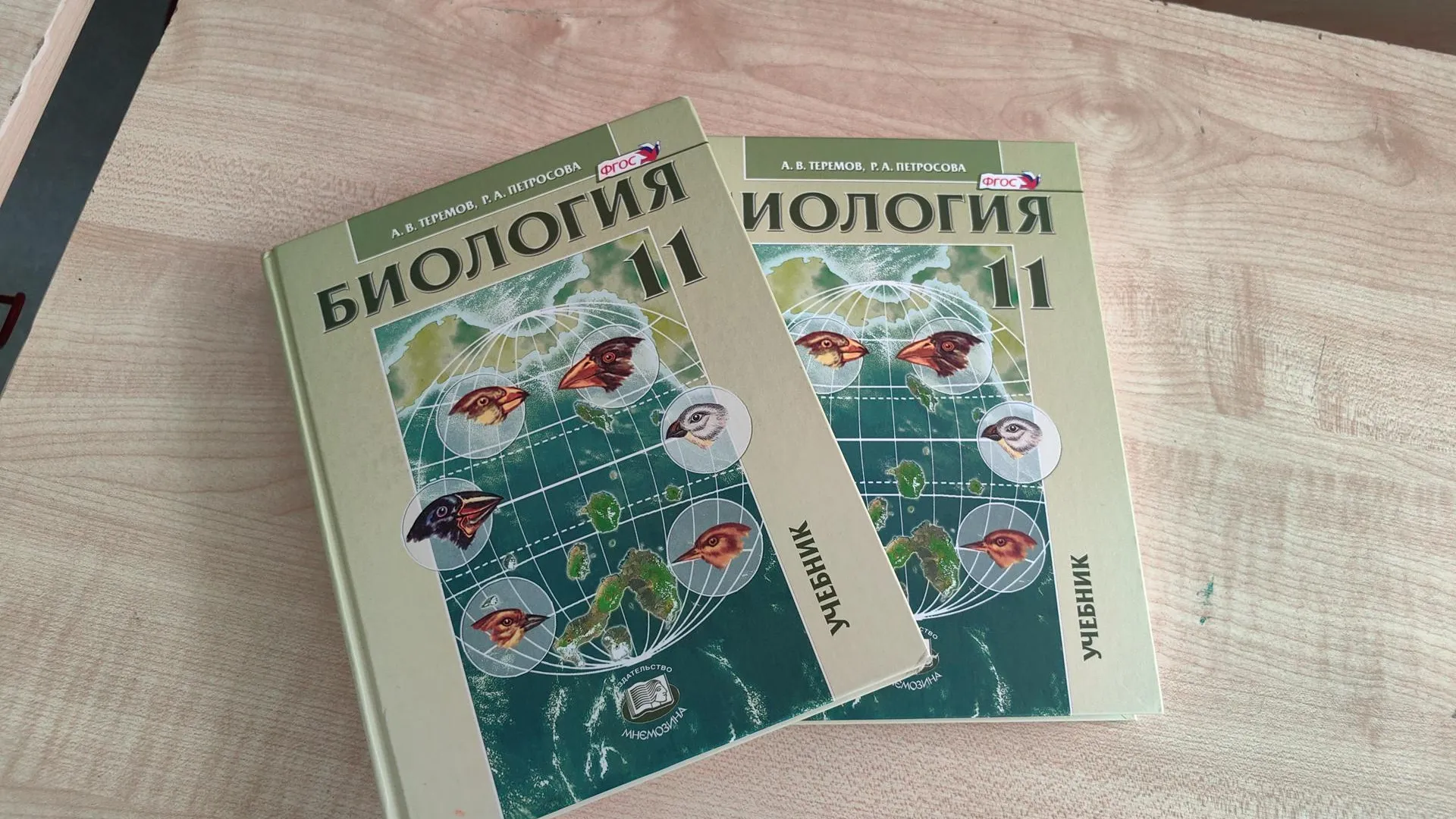 Картинка