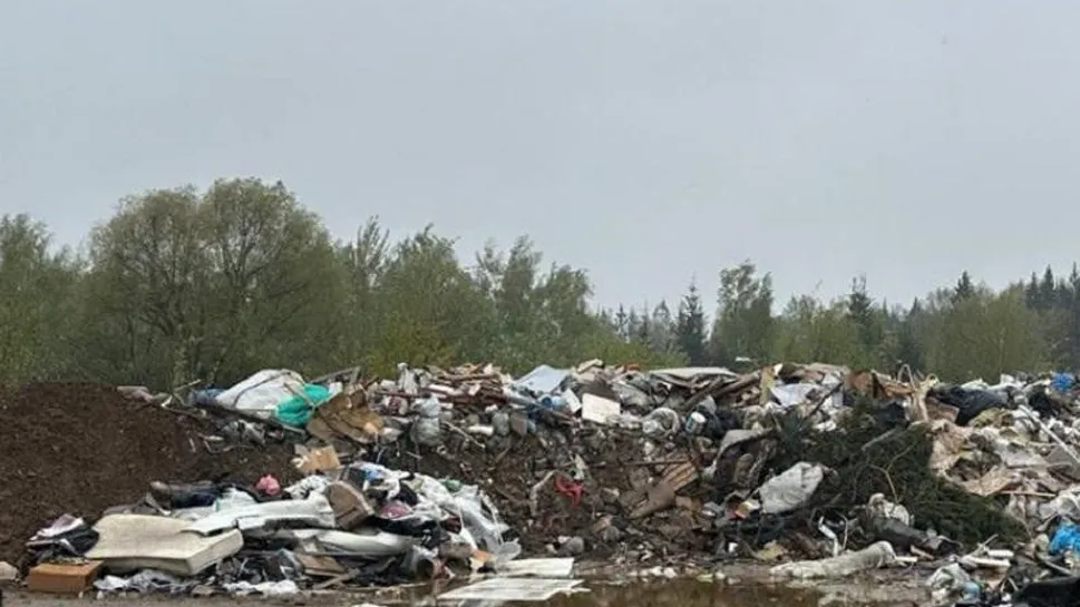 Фото: Министерство экологии и природопользования Московской области