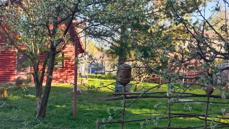 Фото: Надежда Чекалина