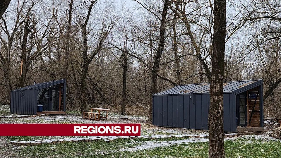 Фото: REGIONS/Александр Степушкин