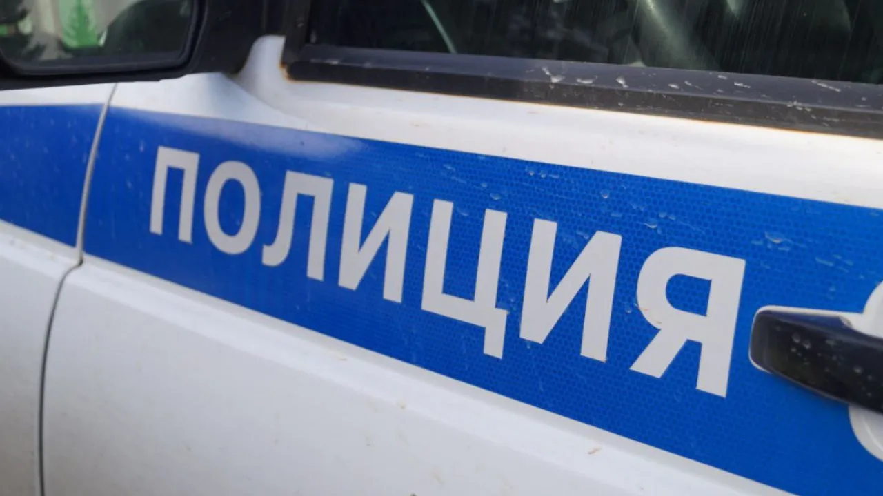 Фото: пресс-служба ОМВД Талдомского округа