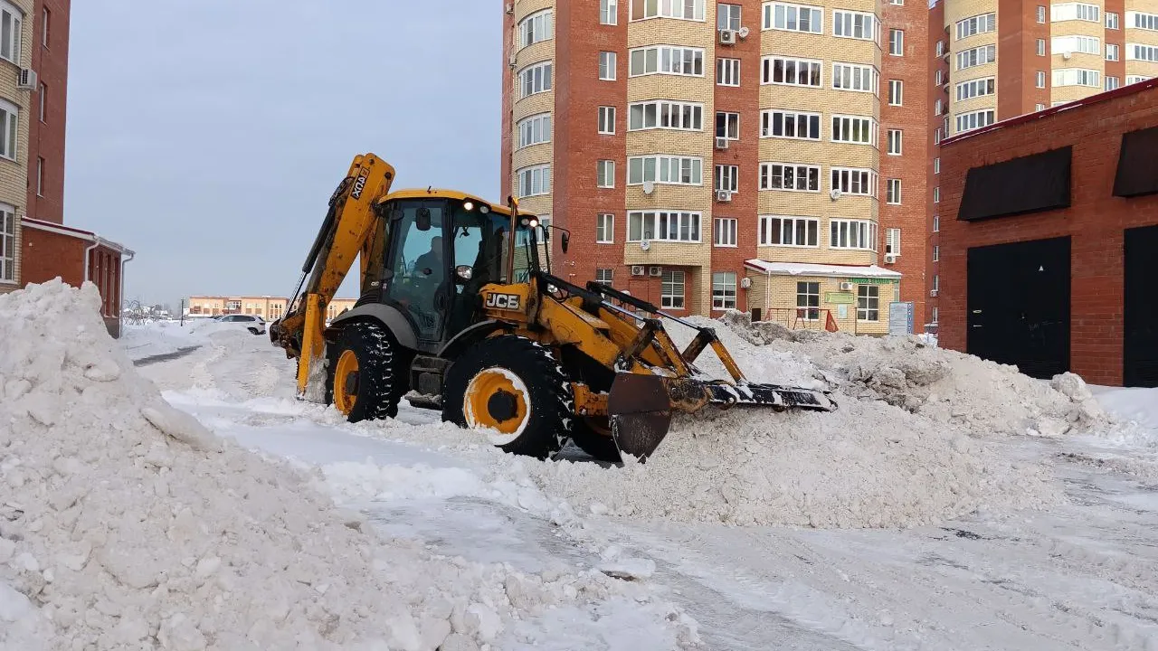 Фото: пресс-служба администрации г.о. Черноголовка