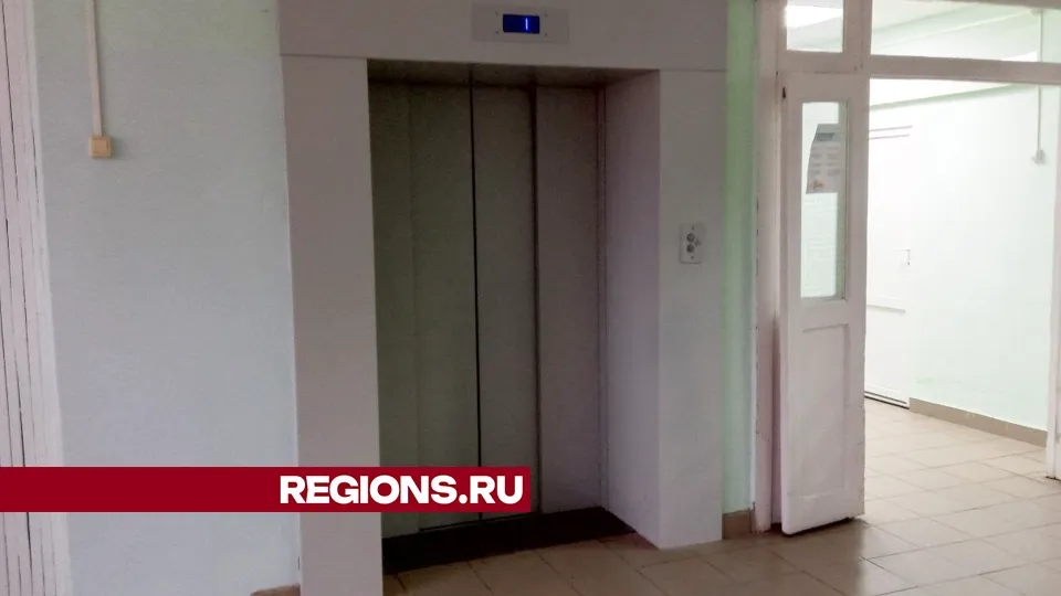 Фото: REGIONS/Василий Тремасов